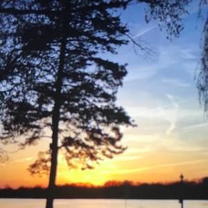 Meet your Posher, Connor